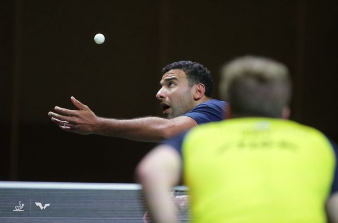 的组织与扫 的组织与扫